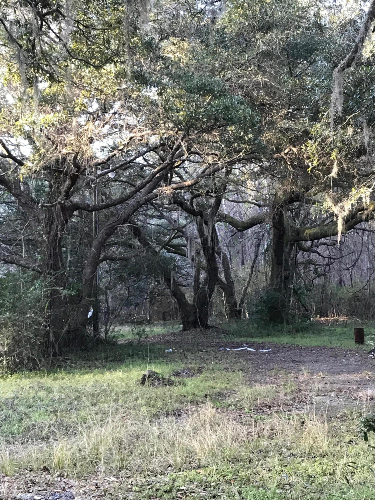 603 South Santee Road McClellanville, SC 29458 - Photo 1 of 2 lot