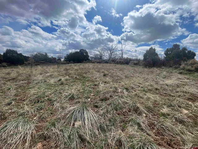 a view of a yard and mountain