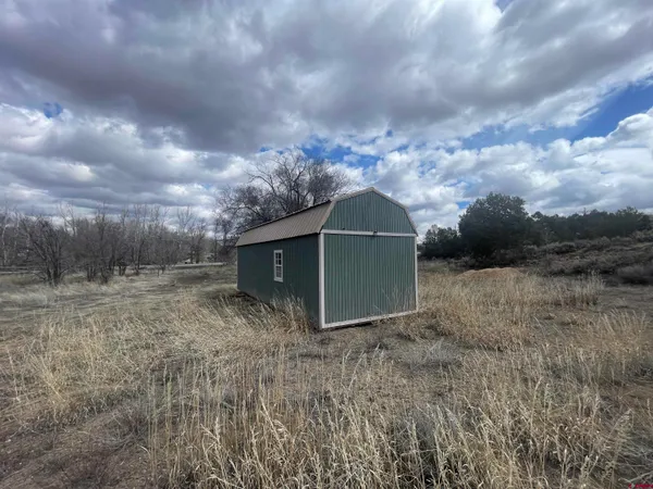 a view of a dry yard