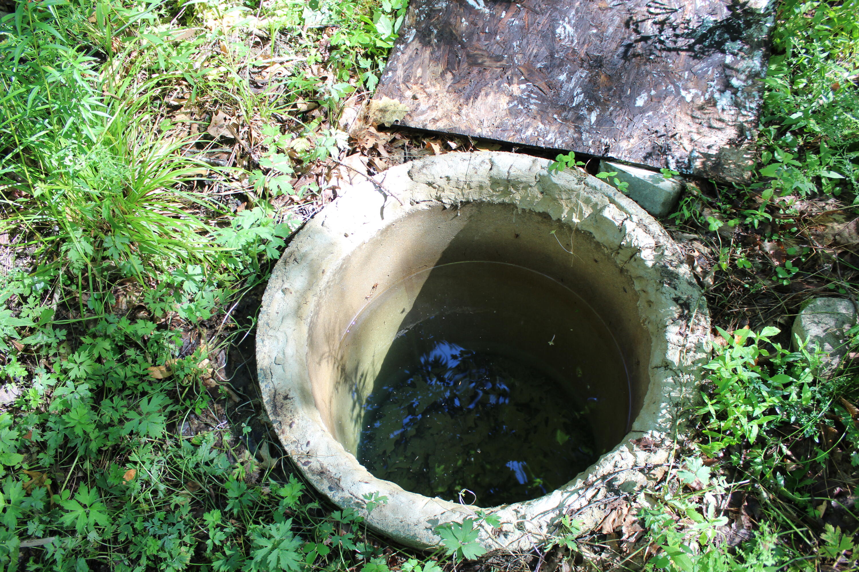 441 Lake Road Perry, ME 04667 - Photo 40 of 68 IMG_6869