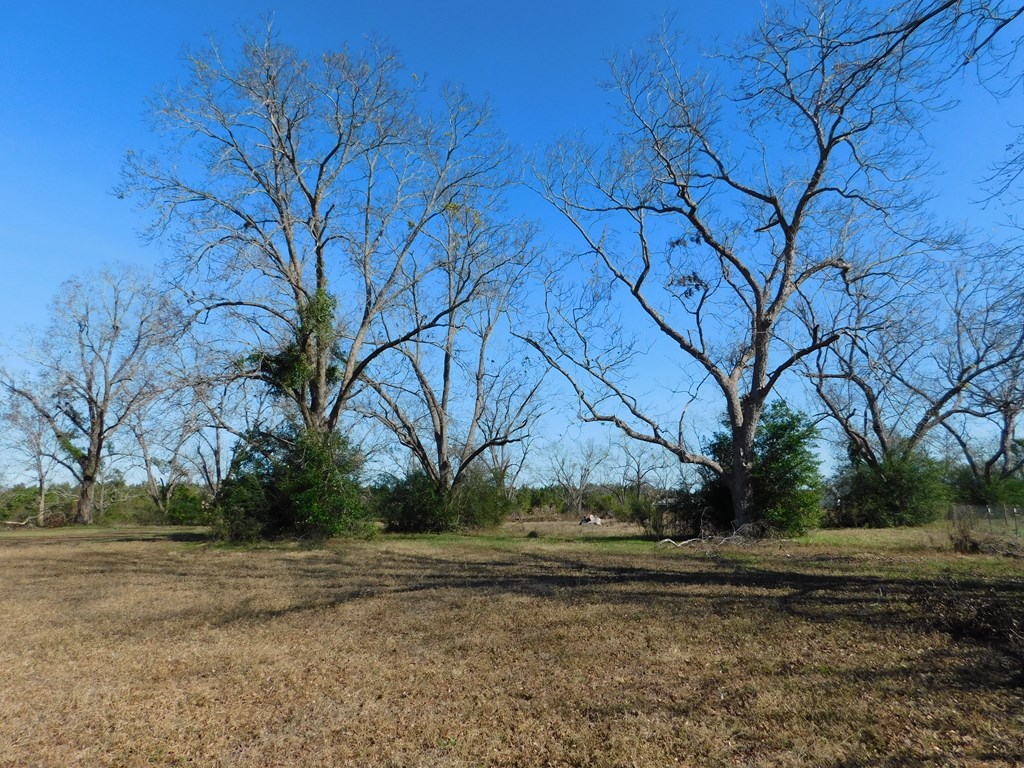 0 Airport Road Slocomb, AL 36375 - Photo 5 of 8