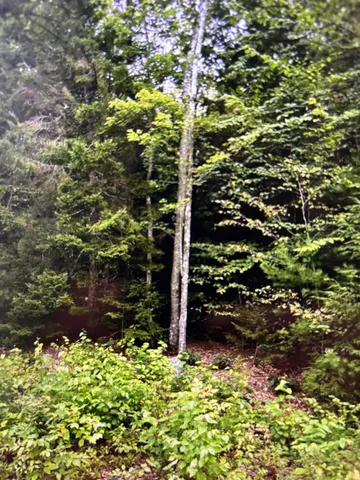 $59,900 | 163 Sandy Acres Drive, Sullivan, ME 04664