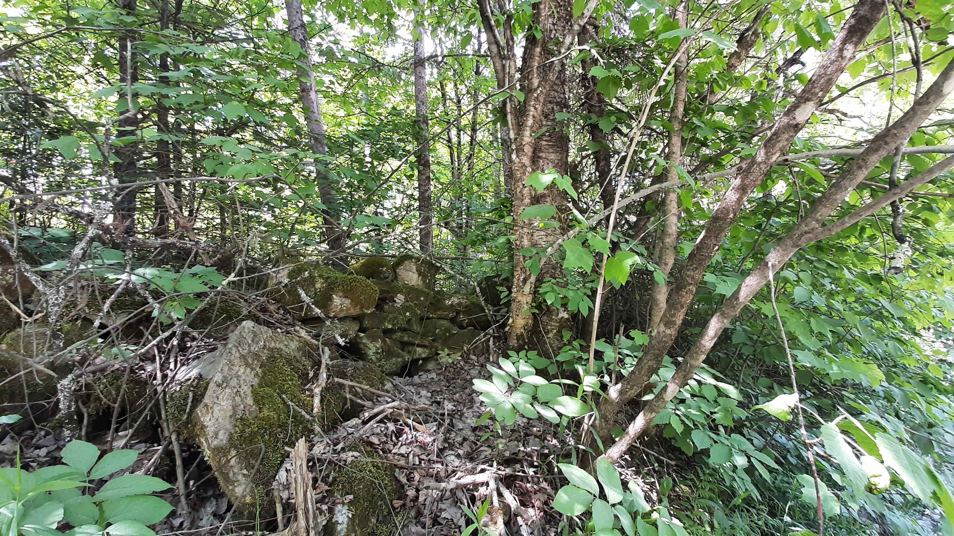 0 Summit Road Mount Holly, VT 05758 - Photo 10 of 37