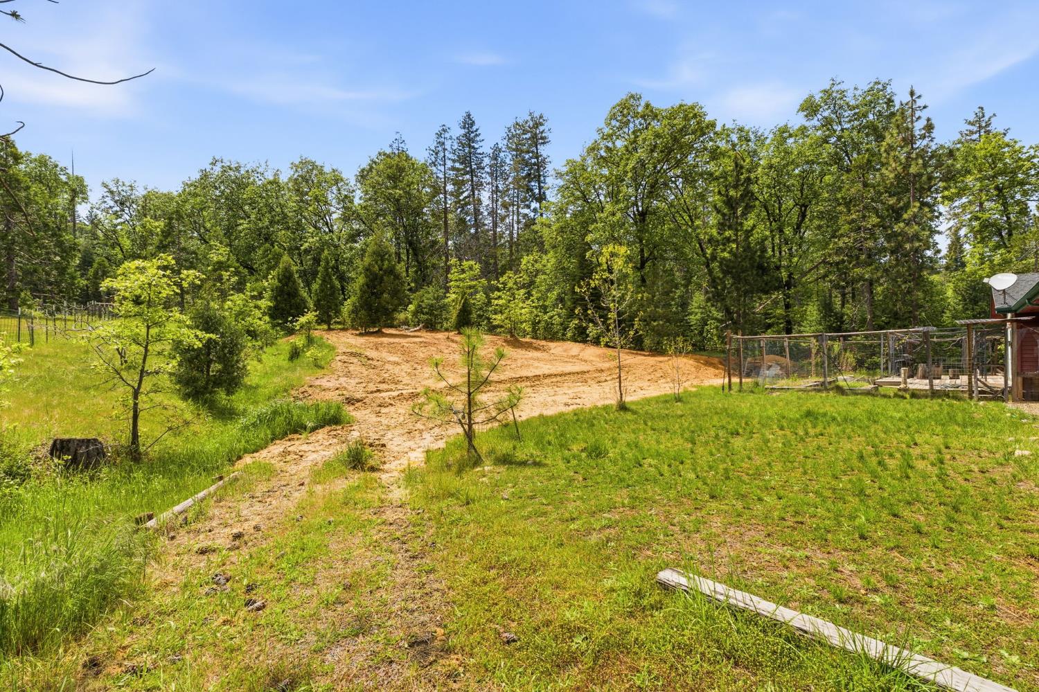 7019 Scott Road Mariposa, CA 95338 - Photo 44 of 77