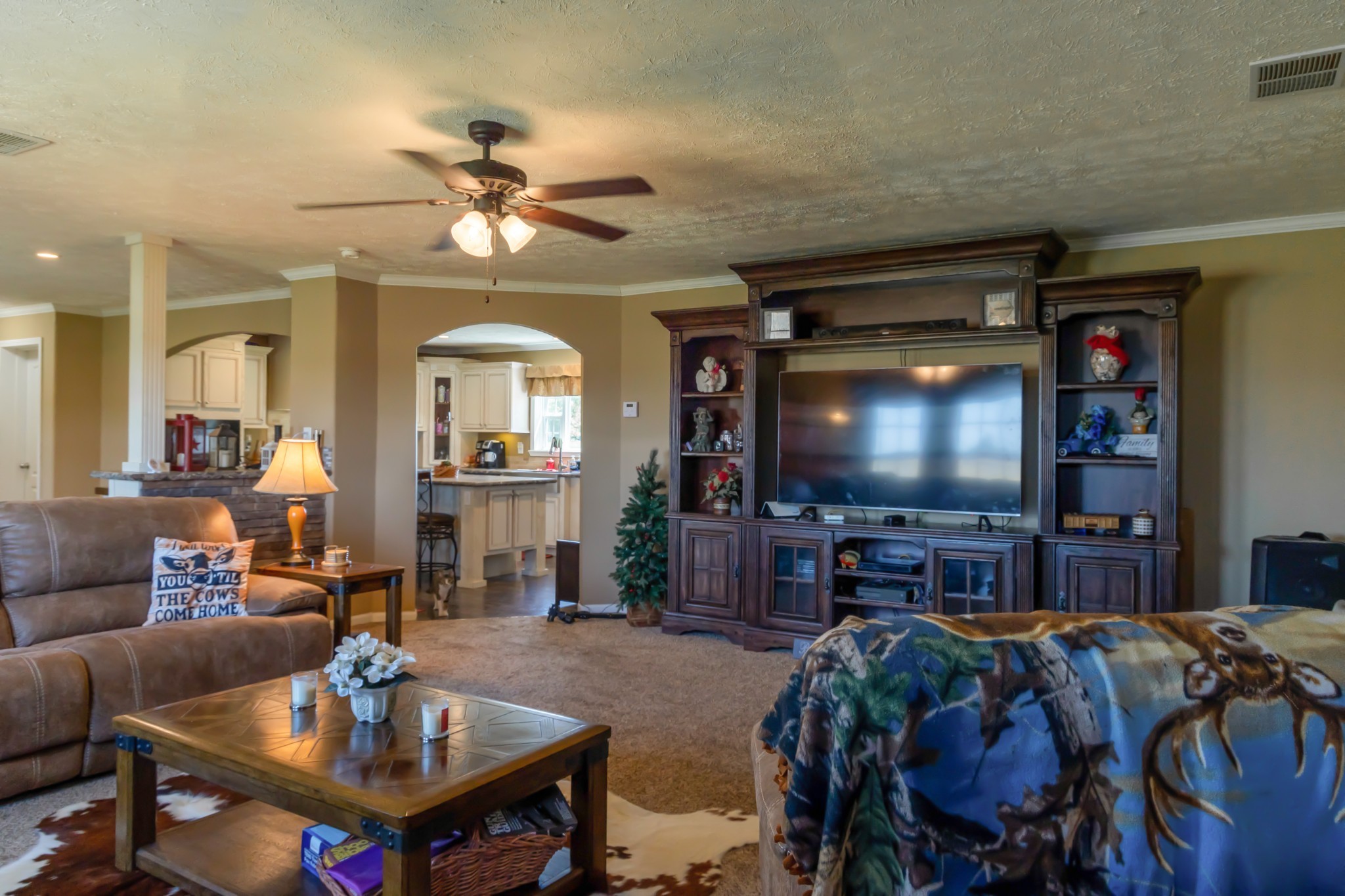783 White Road Portland, TN 37148 - Photo 3 of 20 a living room with furniture and a flat screen tv