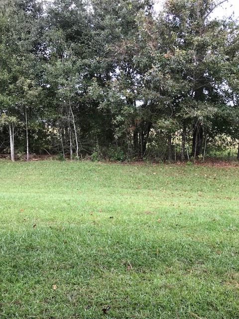 15178 Troon Drive Foley, AL 36535 - Photo 11 of 13 View from back porch