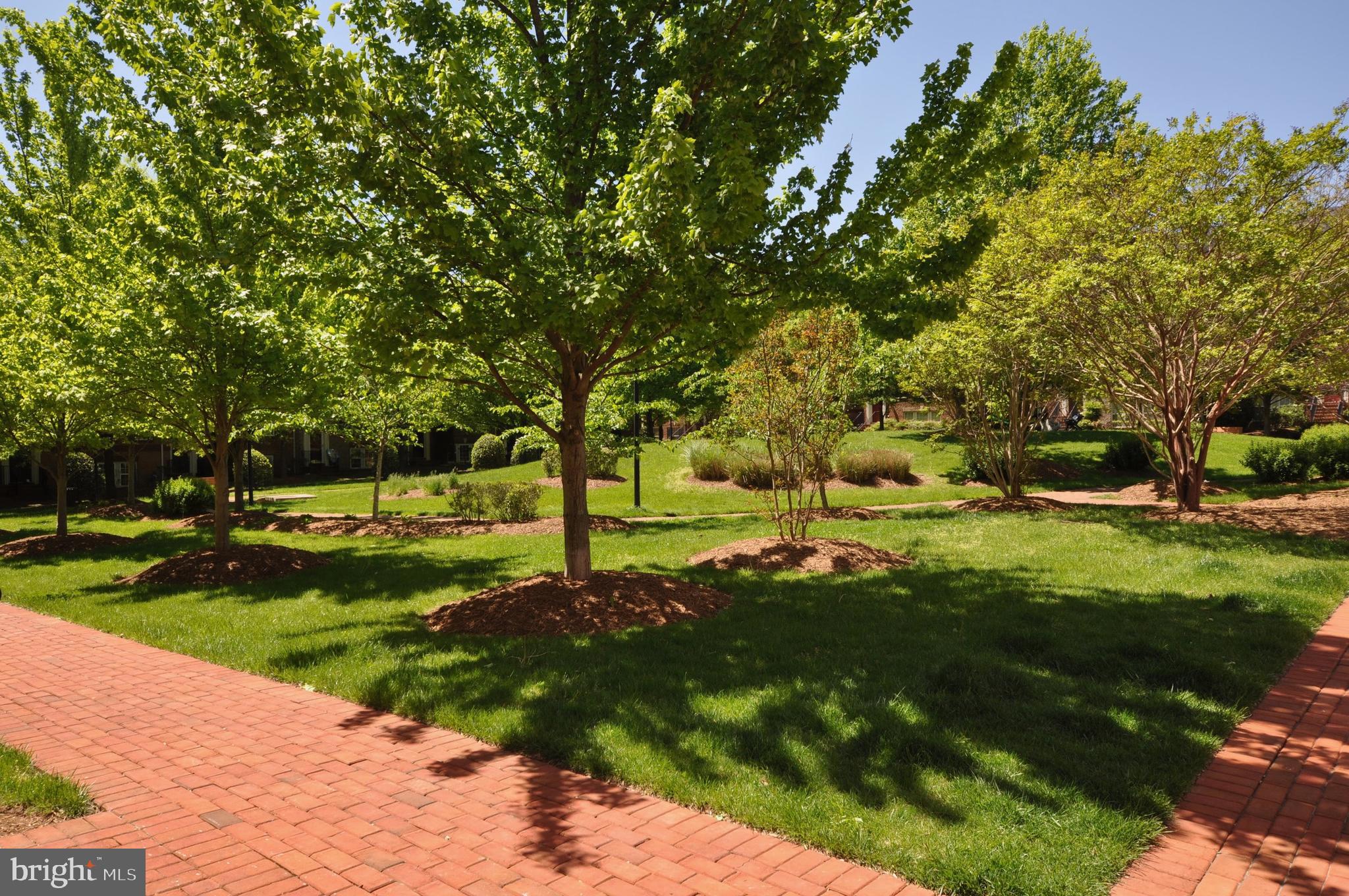 7976 Vigne Court Vienna, VA 22182 - Photo 45 of 46