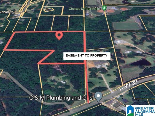 0 Highway 39 Chelsea, AL 35043 - Photo 2 of 4