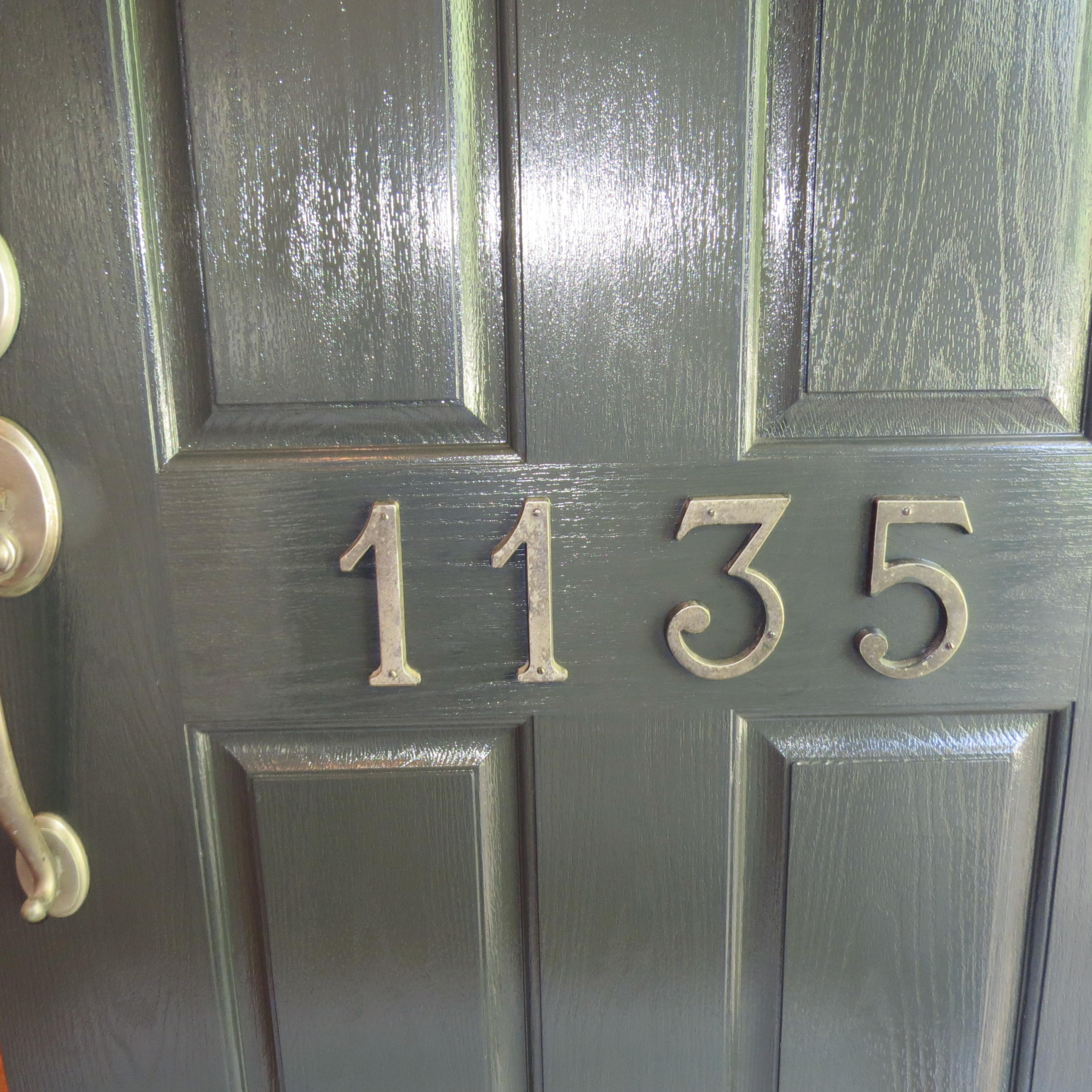1135 Quick Rabbit Loop Charleston, SC 29414 - Photo 4 of 56 IMG_3482