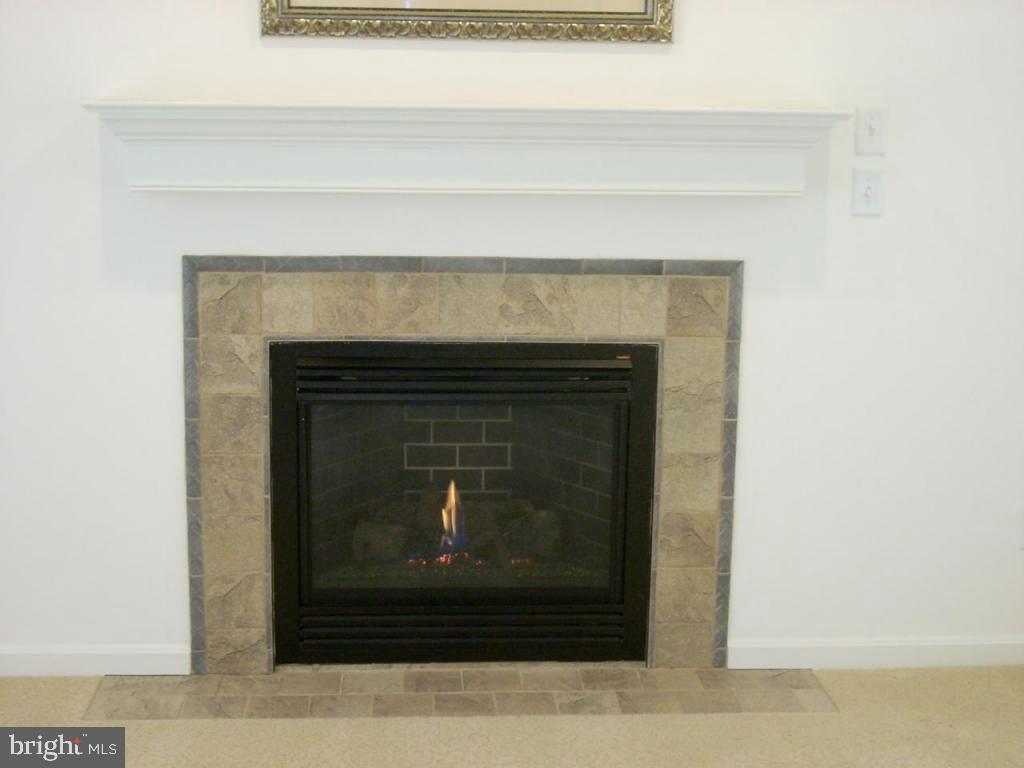 548 Wallingford Road Lancaster, PA 17601 - Photo 4 of 12 a living room with a fireplace