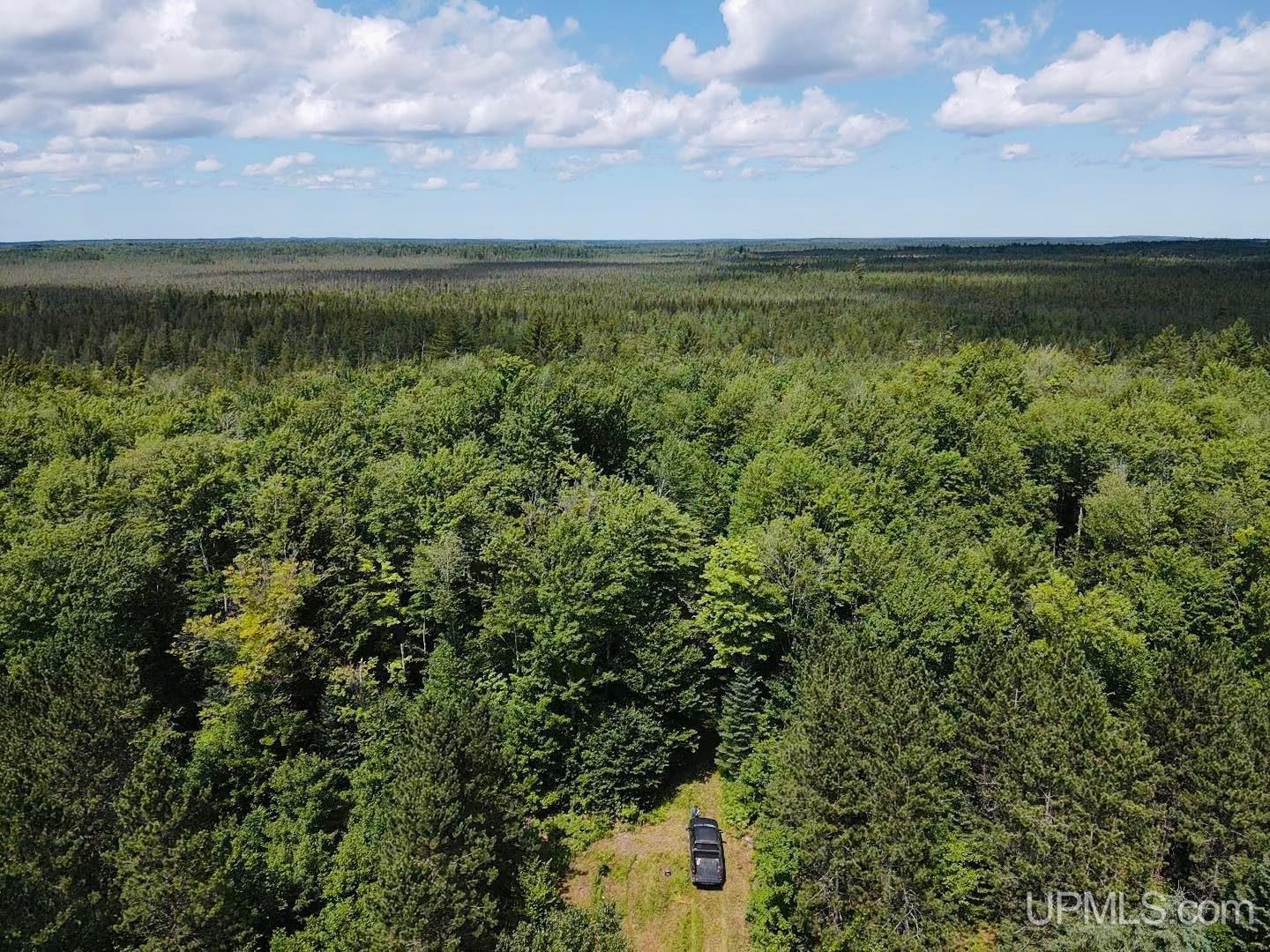 15.5 15.5 Road Wetmore, MI 49895 - Photo 2 of 14