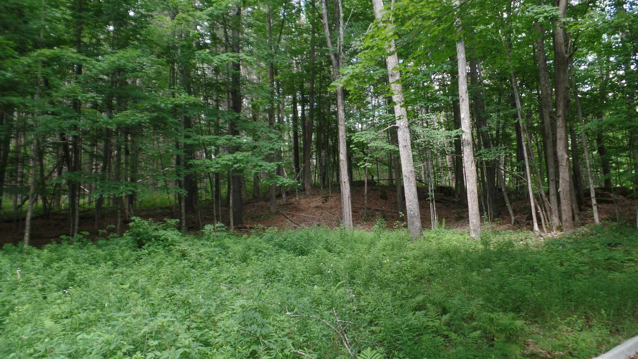 0 Sparrow Farm Road Montpelier, VT 05602 - Photo 9 of 13