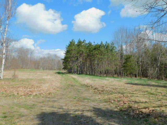 379 Bangor Road Troy, ME 04987 - Photo 9 of 32 DSCN3146