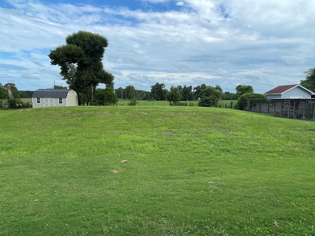 500 Lee Road Salem, AL 36874 - Photo 23 of 23