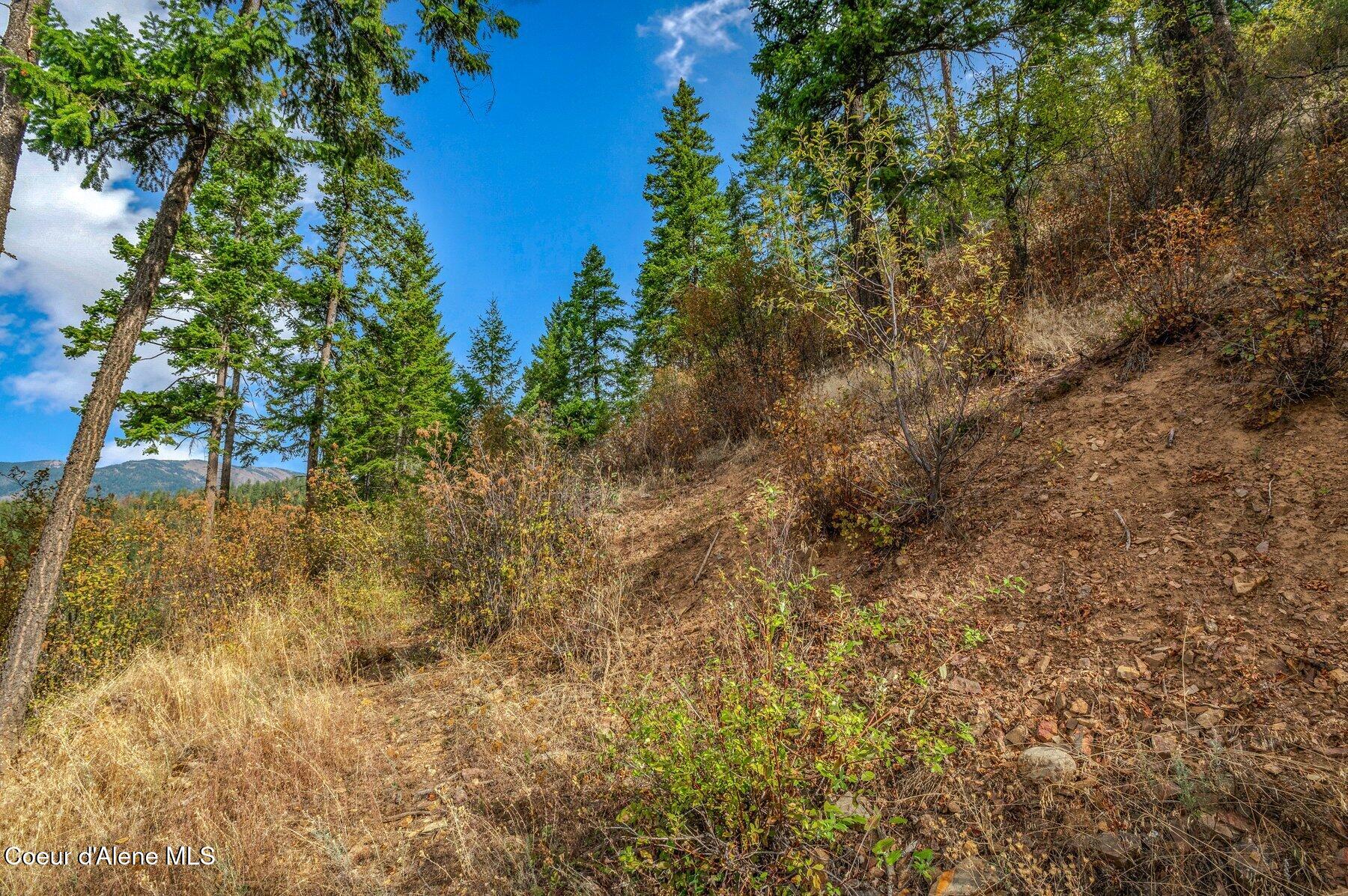 818 Silver Creek Road Clark Fork, ID 83811 - Photo 36 of 45 Sloping