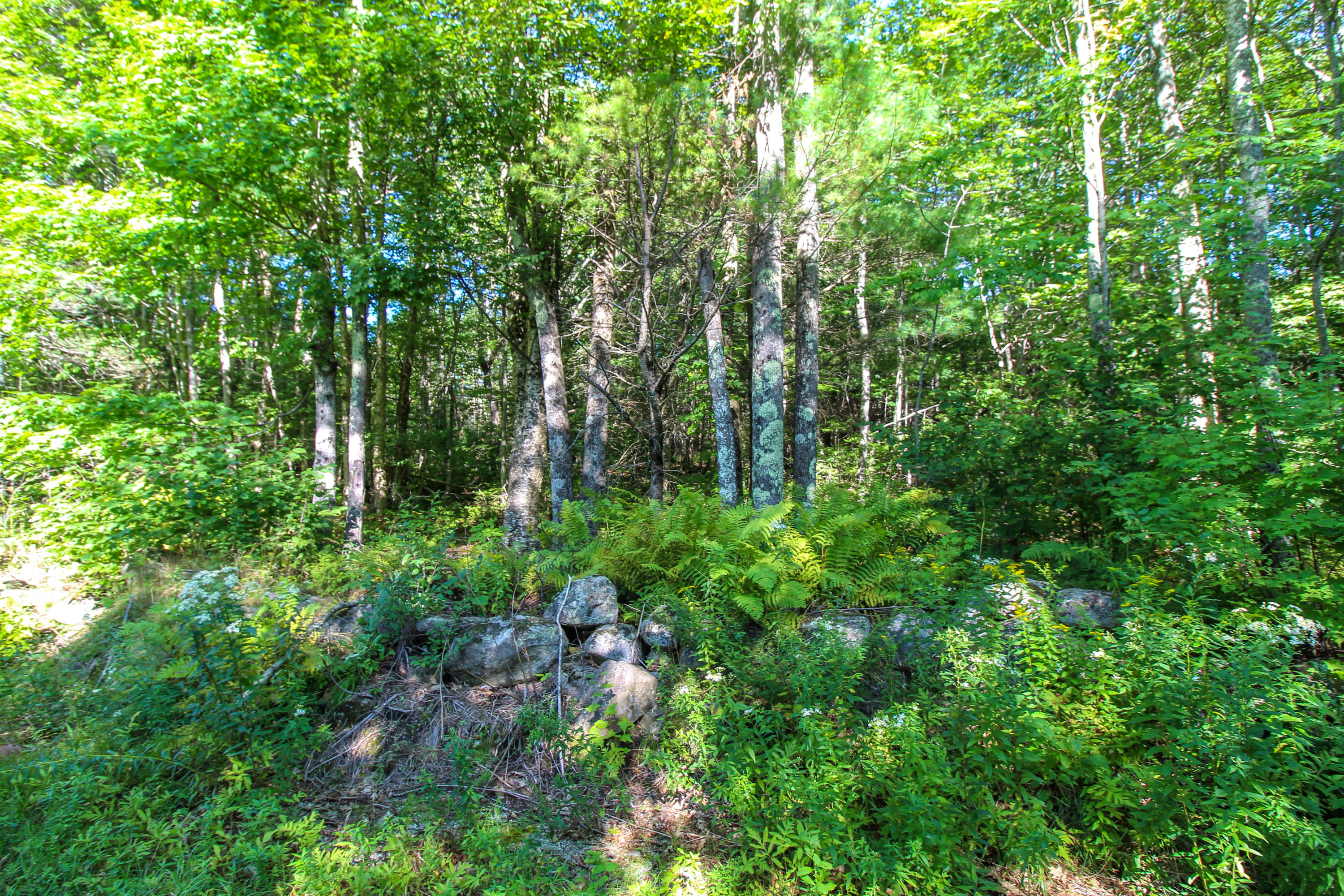 Lot 24 Green Valley Road Stockton Springs, ME 04981 - Photo 16 of 31 Rock Walls