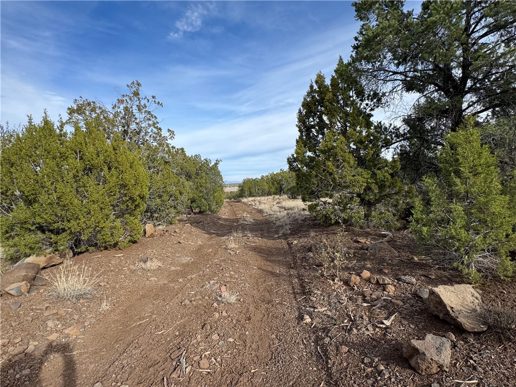 34745 West Running Shadow Road Seligman, AZ 86337 - Photo 29 of 52