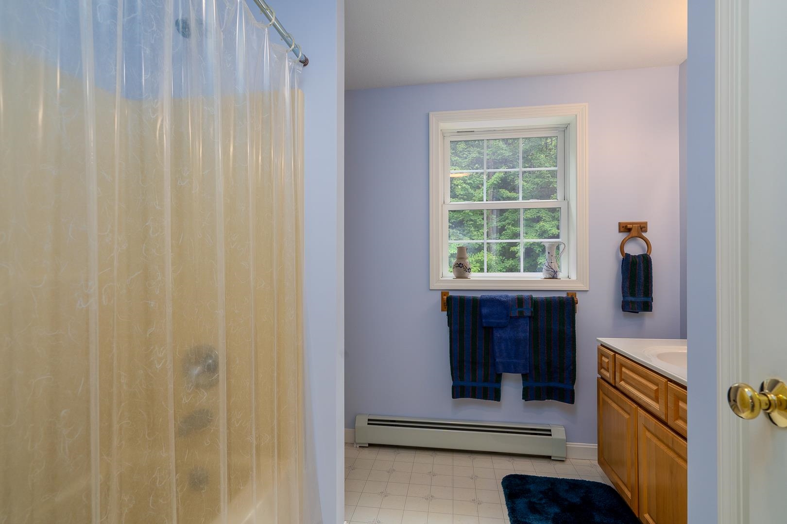 540 Shackford Corner Road Barnstead, NH 03225 - Photo 20 of 40