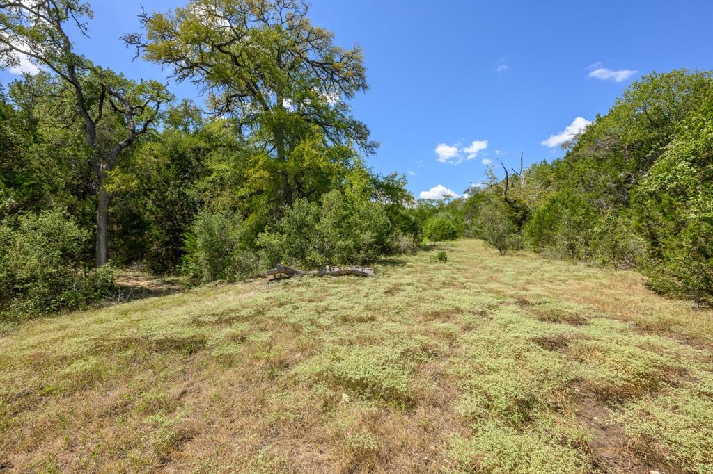 3501 Pursley Road Dripping Springs, TX 78620 - Photo 30 of 40 Gallery Image 30