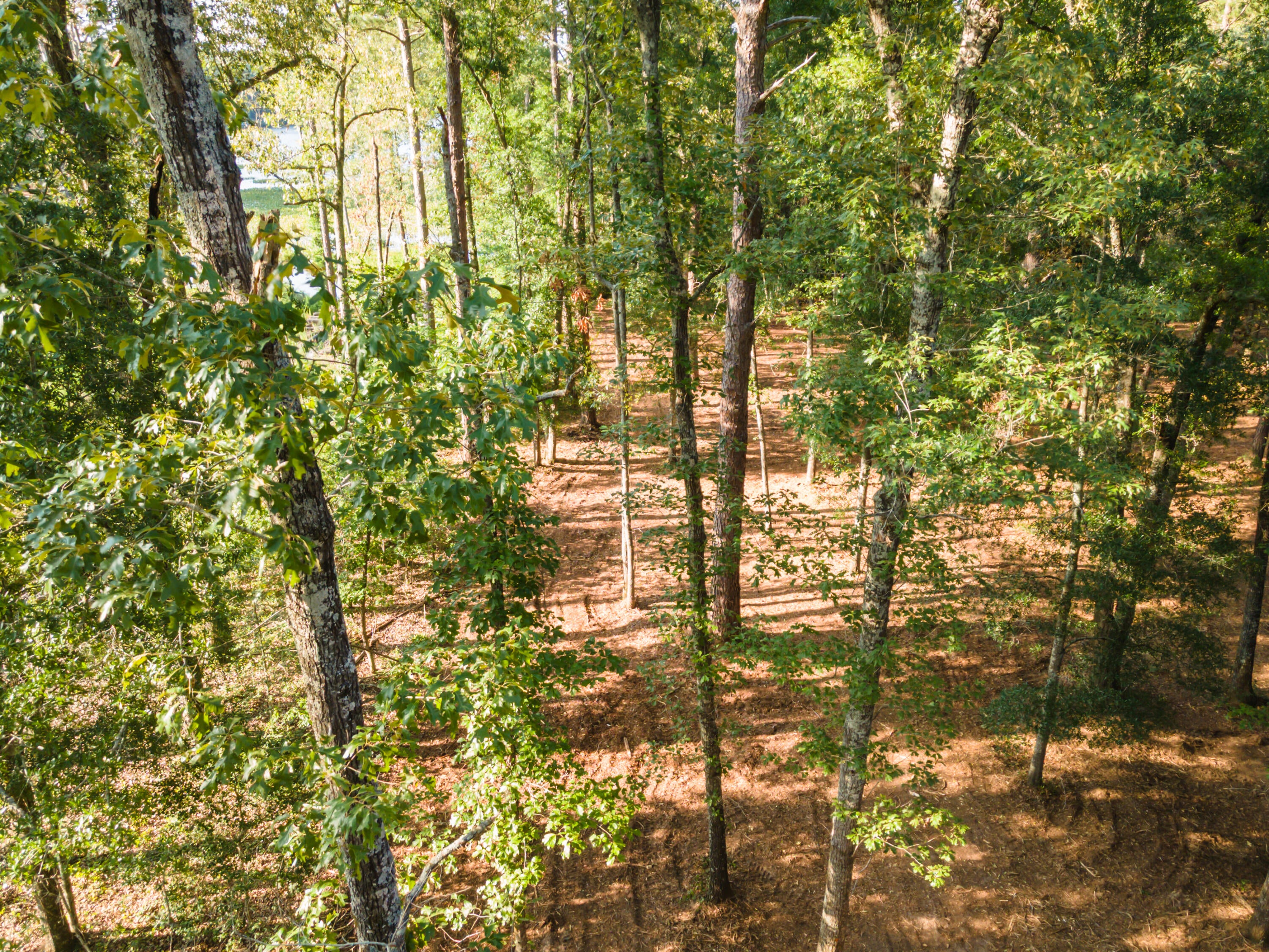 Tbd Edisto Lake Road, Unit 39 Wagener, SC 29164 - Photo 27 of 39 Gallery Image 27