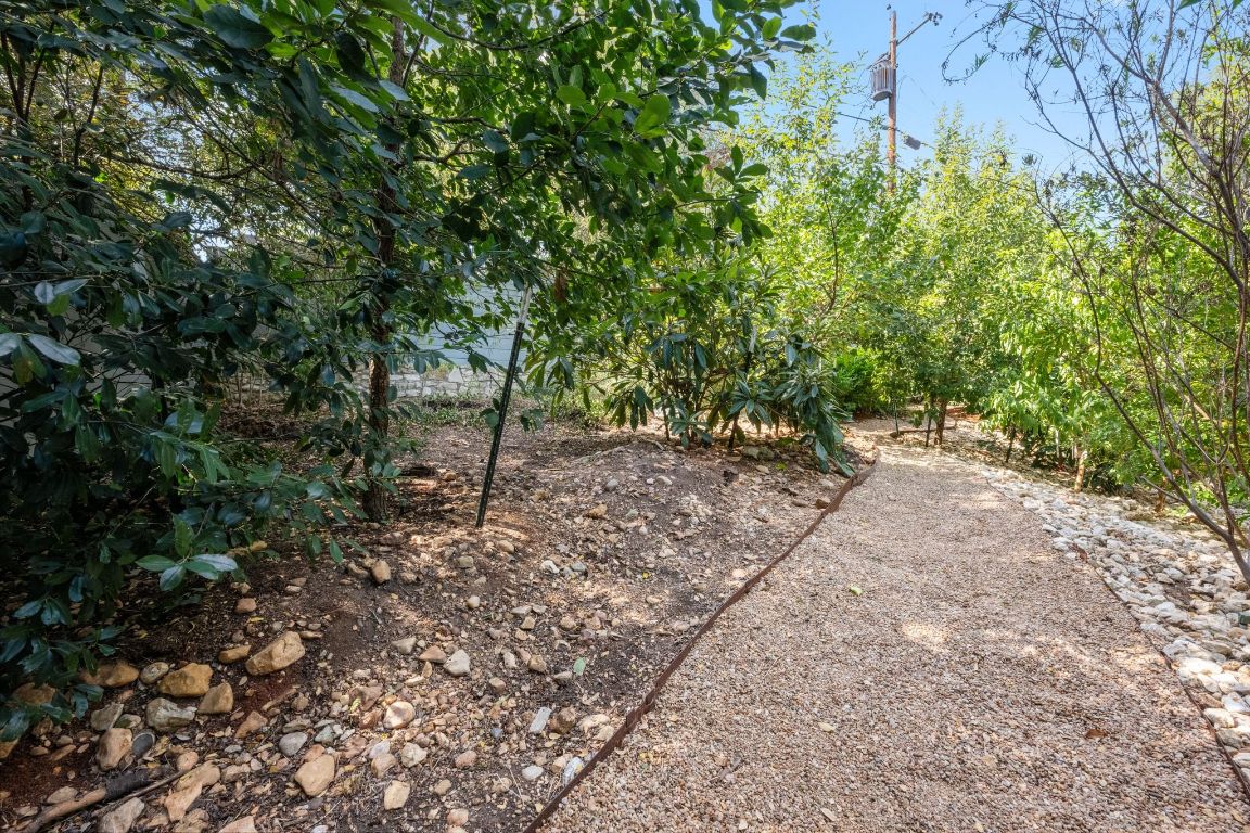 3705 Bridle Path Austin, TX 78703 - Photo 26 of 26 a view of outdoor space and yard