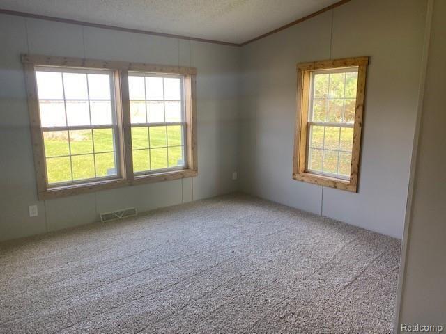 11240 Baldwin Road Gaines, MI 48436 - Photo 14 of 26 Baldwin Road Gaines Mi. 11240 Baldwin 48436 (11)