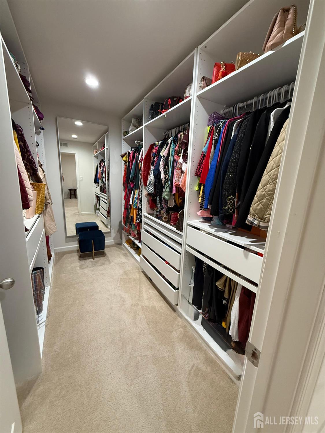 39 Periwinkle Drive, Unit 9 Monroe Township, NJ 08831 - Photo 12 of 26 a view of walk in closet with clothes and shoes