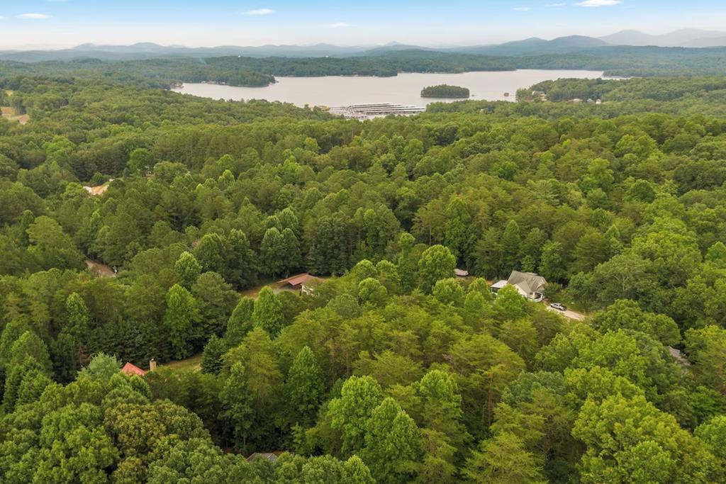 161 Bluebird Lane Blue Ridge, GA 30513 - Photo 1 of 32 Main View