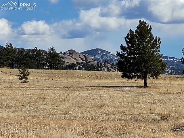 582 High Pasture Road Florissant, CO 80816 - Photo 5 of 16 Gallery Image 5