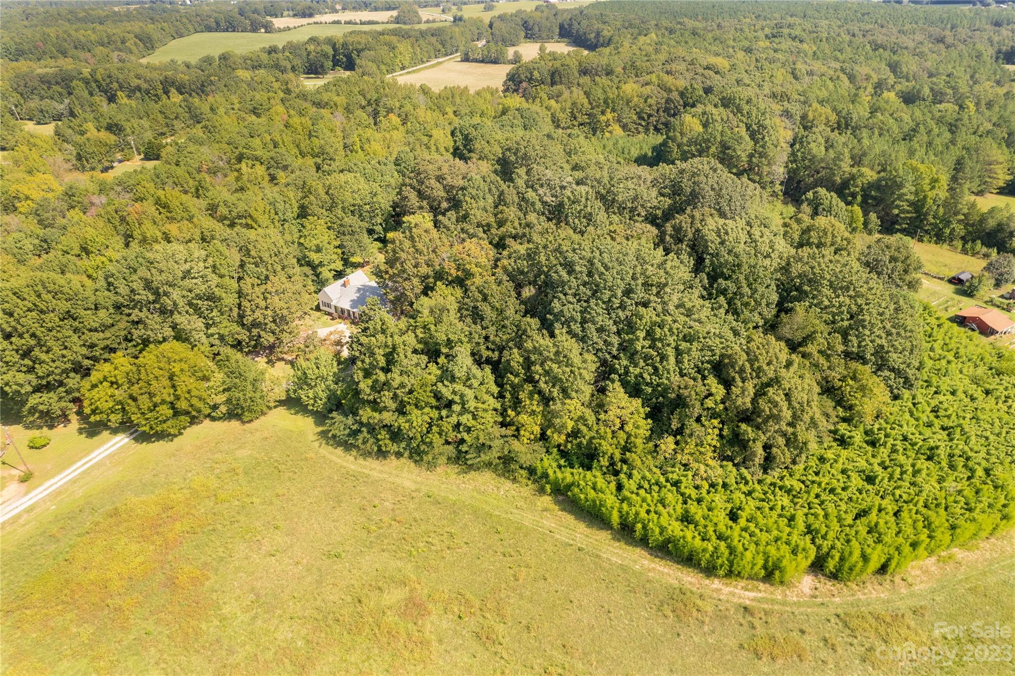 1364 Colony Road Lancaster, SC 29720 - Photo 35 of 38 a view of a yard