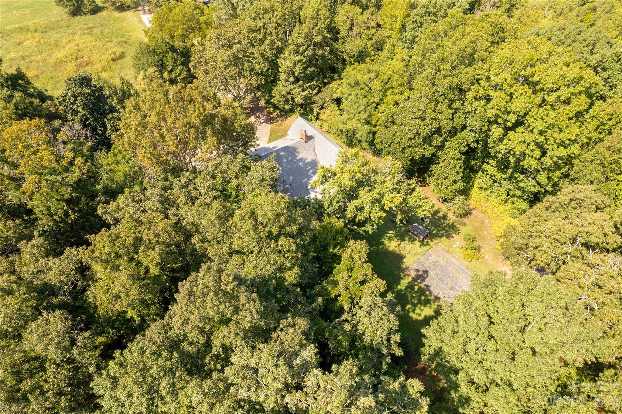 1364 Colony Road Lancaster, SC 29720 - Photo 36 of 38 a view of a yard with a tree