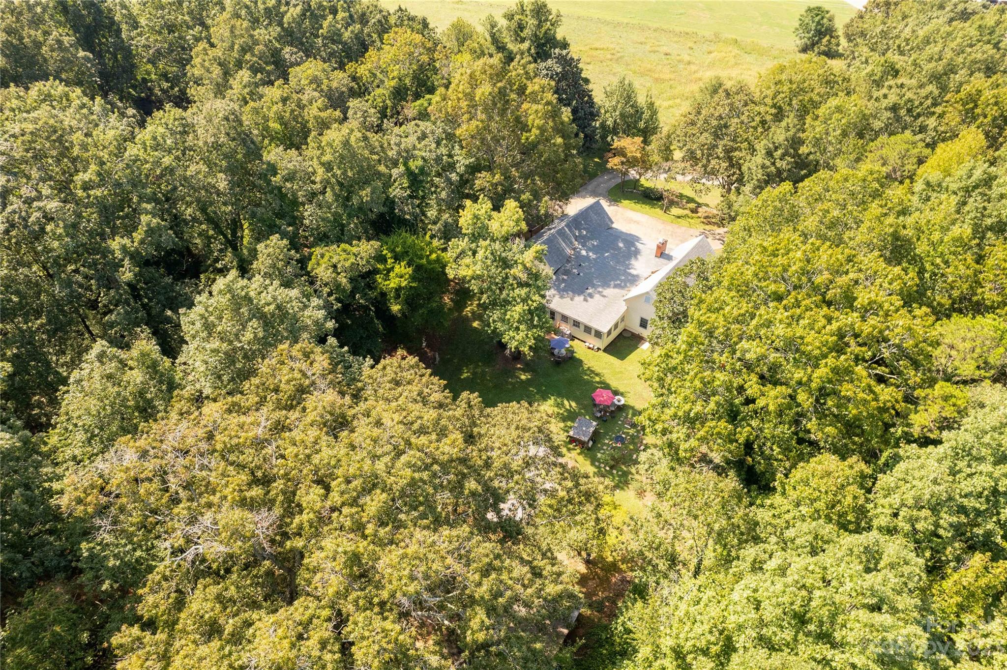 1364 Colony Road Lancaster, SC 29720 - Photo 5 of 38 a view of a big yard with large trees
