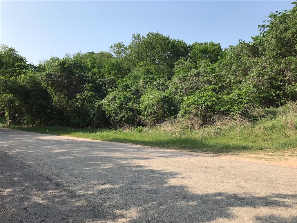 348 Riverside Drive Bastrop, TX 78602 - Photo 1 of 1 Gallery Image 1