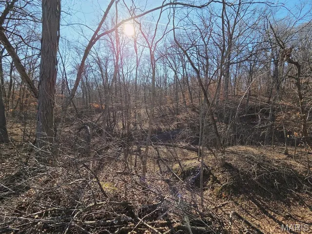 $331,250 | 21810 Sunflower Street, La Grange, MO 63448