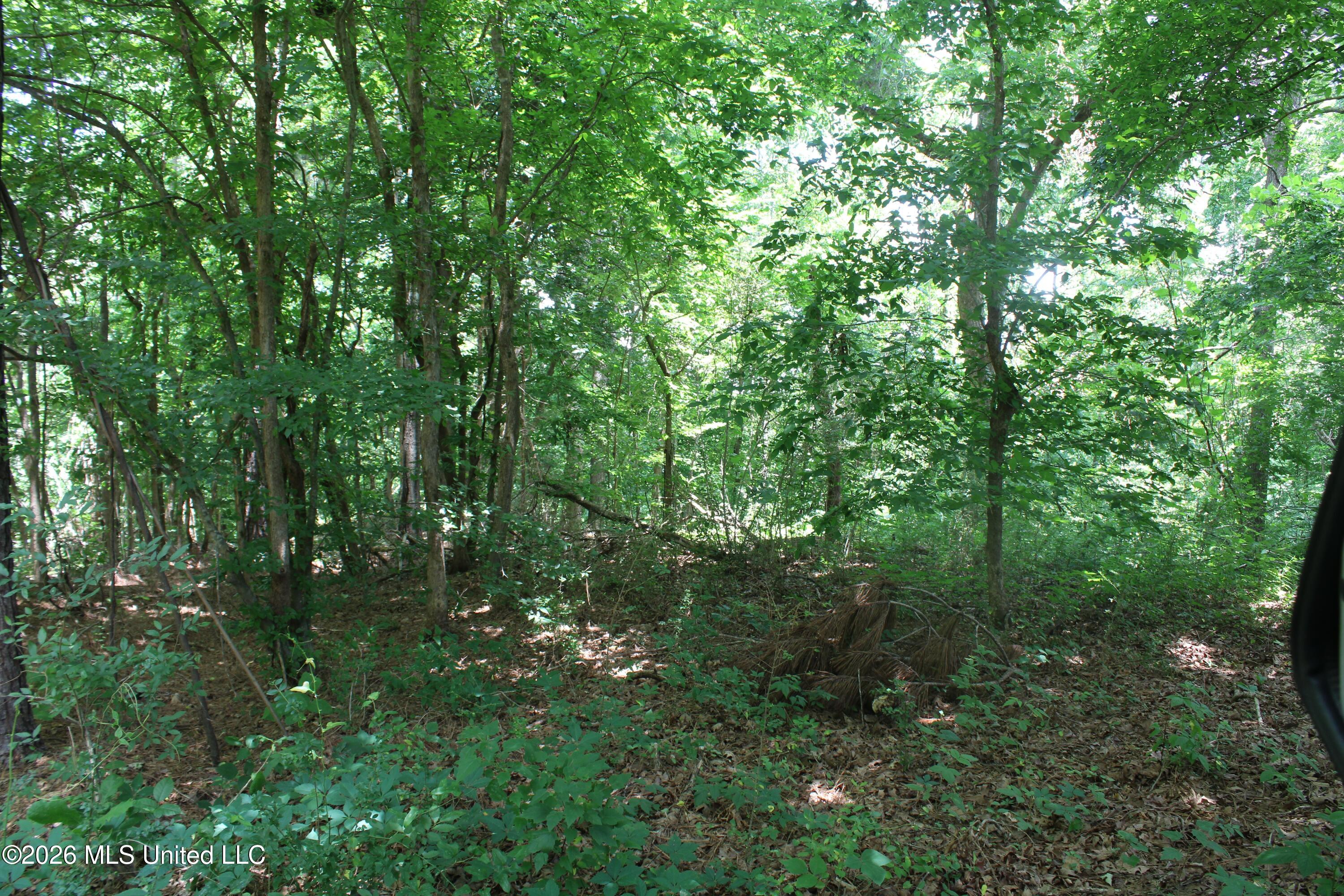 0 Scruggs Road Holly Springs, MS 38635 - Photo 25 of 25 IMG_7876