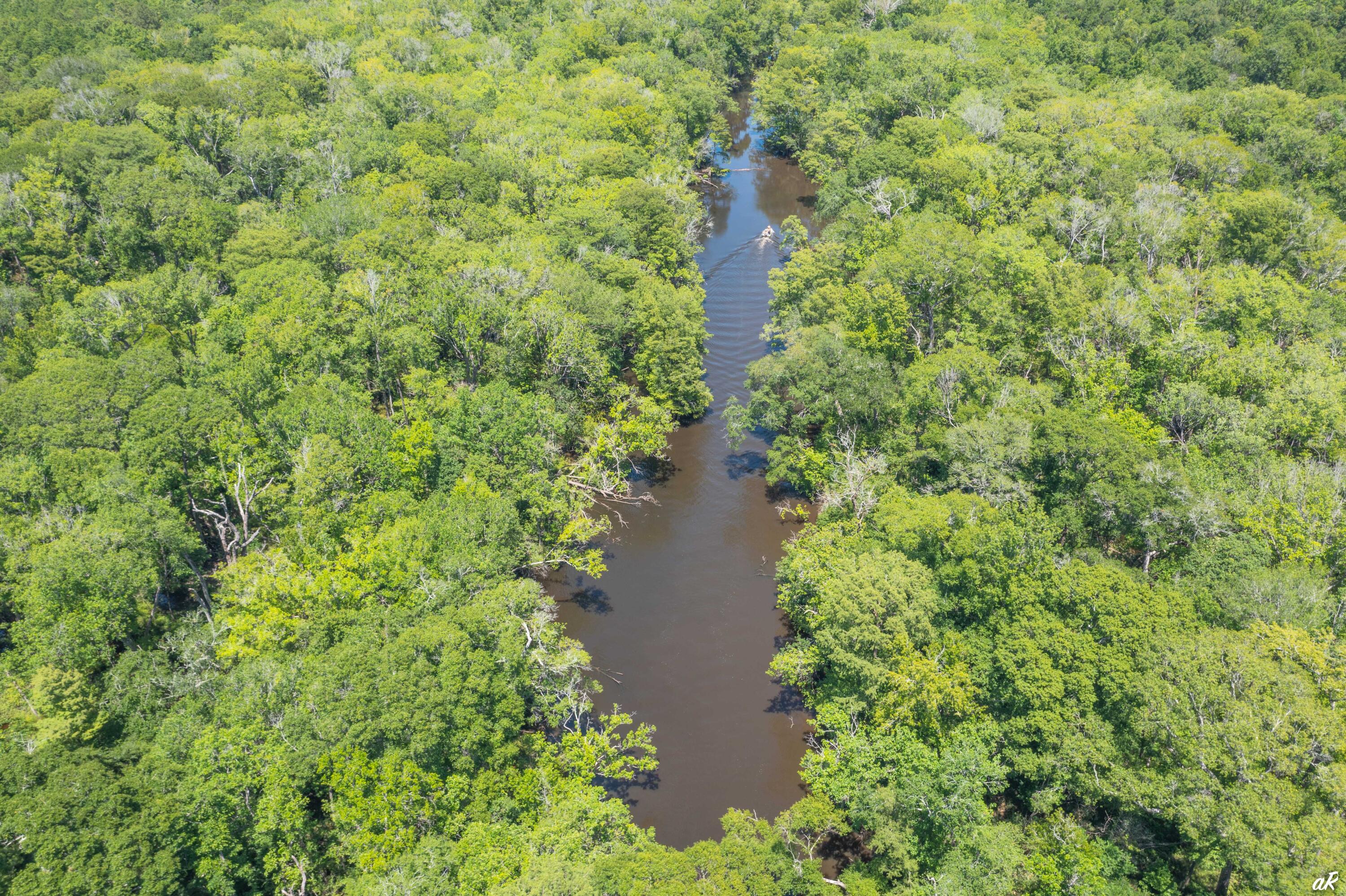 2513 Highway 79 Vernon, FL 32462 - Photo 61 of 85 a view of a lake with a house