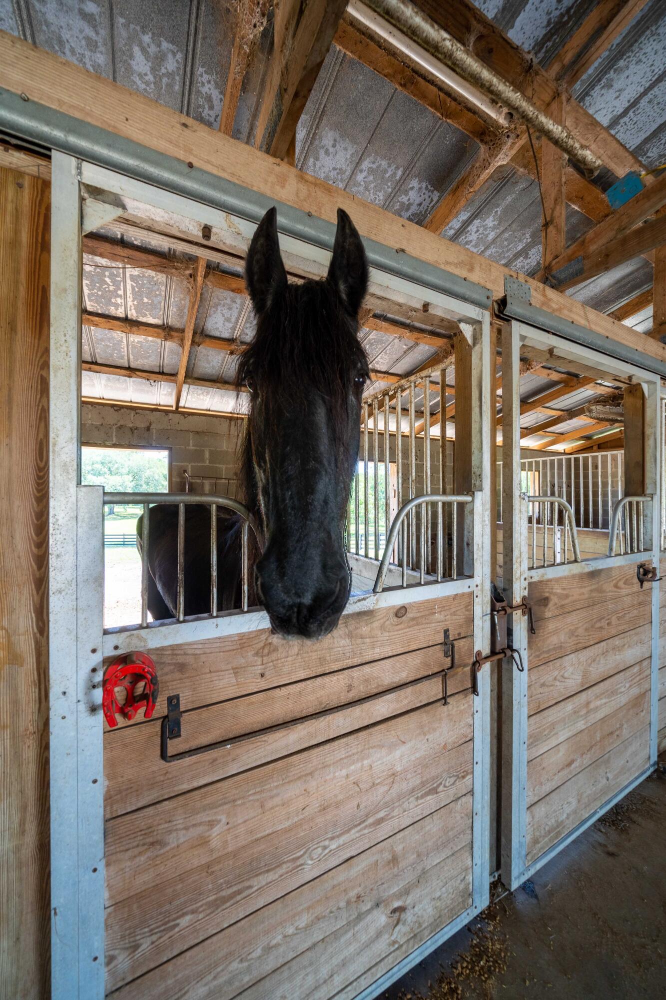 2513 Highway 79 Vernon, FL 32462 - Photo 71 of 85 68 Horse Barn