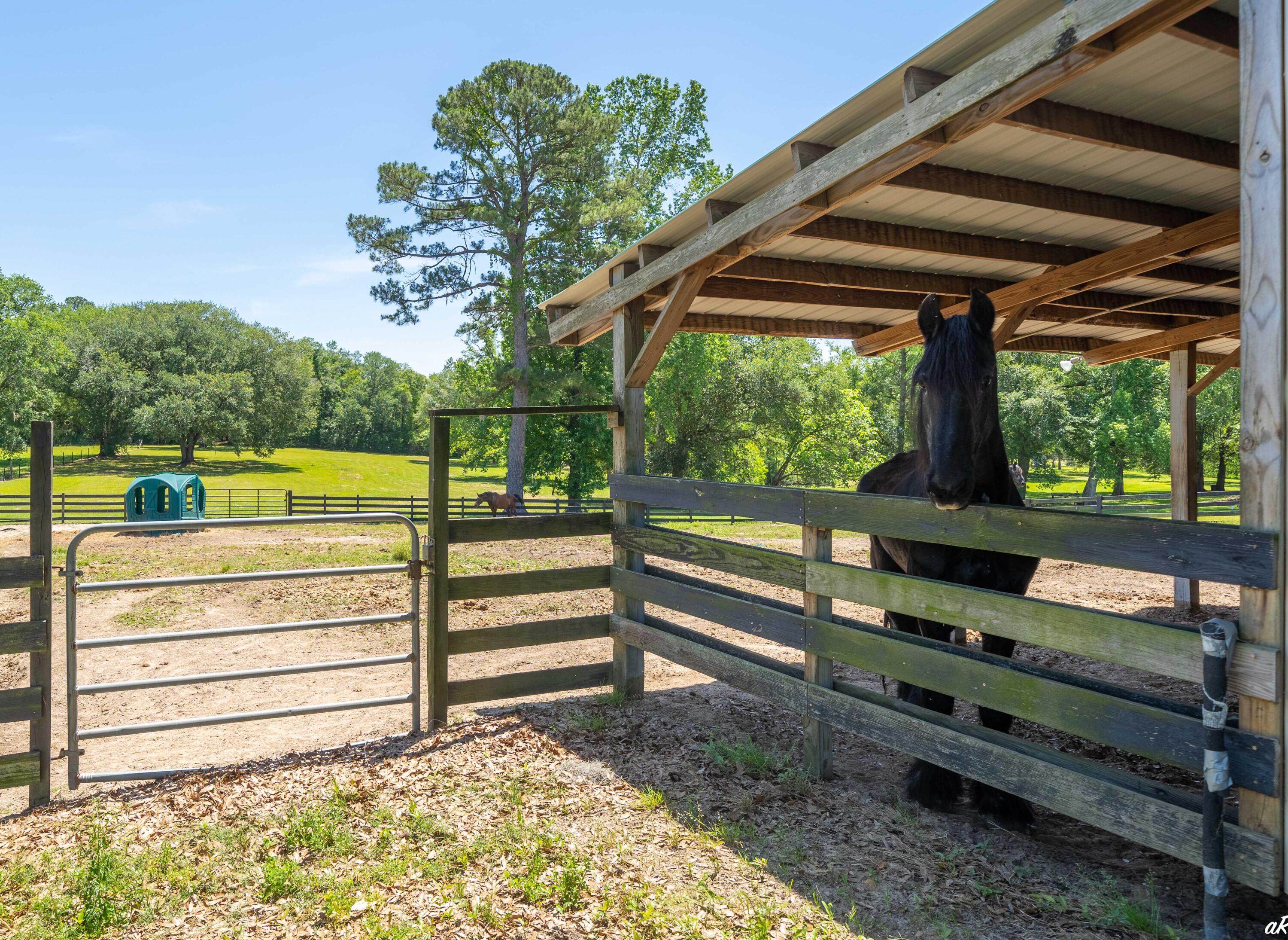 2513 Highway 79 Vernon, FL 32462 - Photo 73 of 85 70 Horse Barn