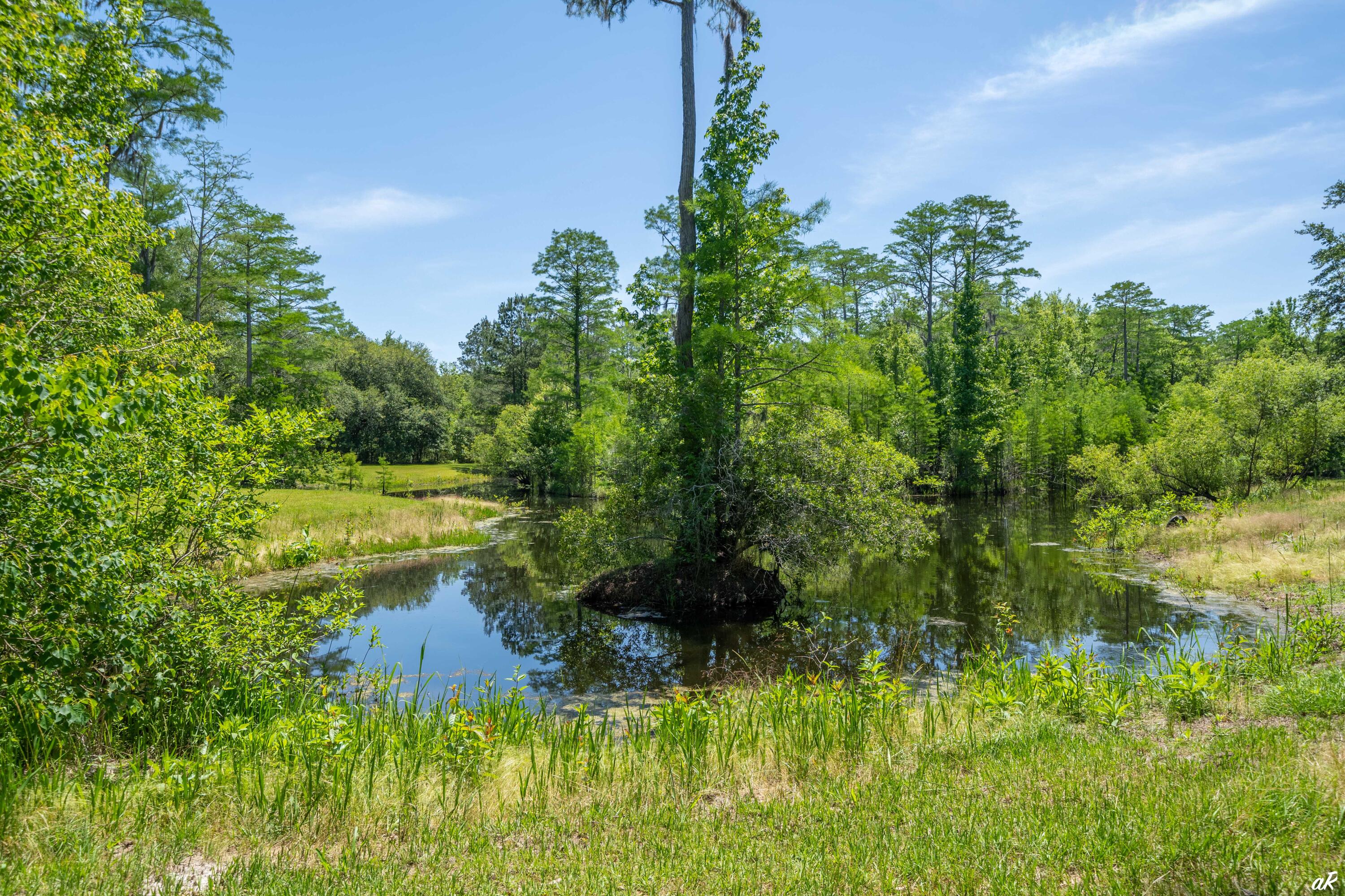2513 Highway 79 Vernon, FL 32462 - Photo 78 of 85 a view of a garden with a lake