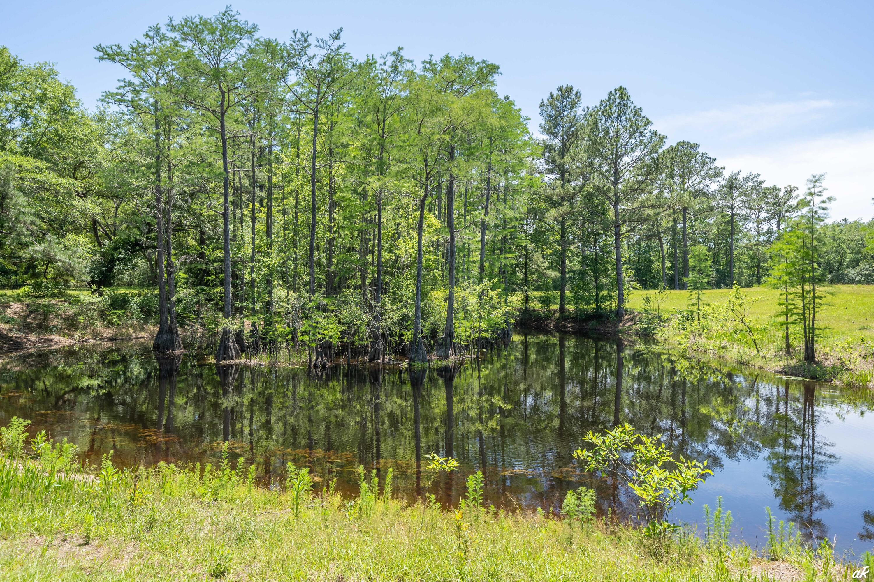 2513 Highway 79 Vernon, FL 32462 - Photo 79 of 85 75 Fishing Pond-2
