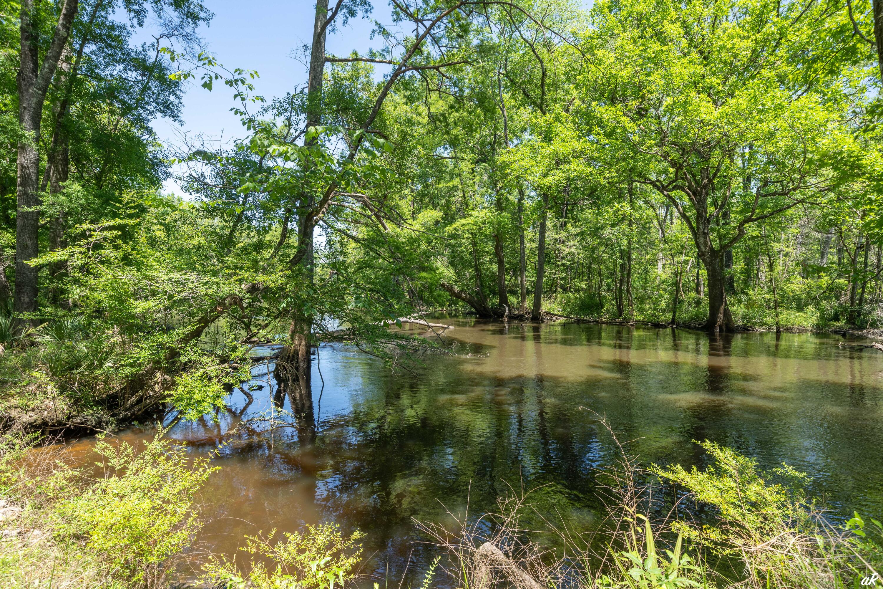 2513 Highway 79 Vernon, FL 32462 - Photo 80 of 85 76 Holmes Creek