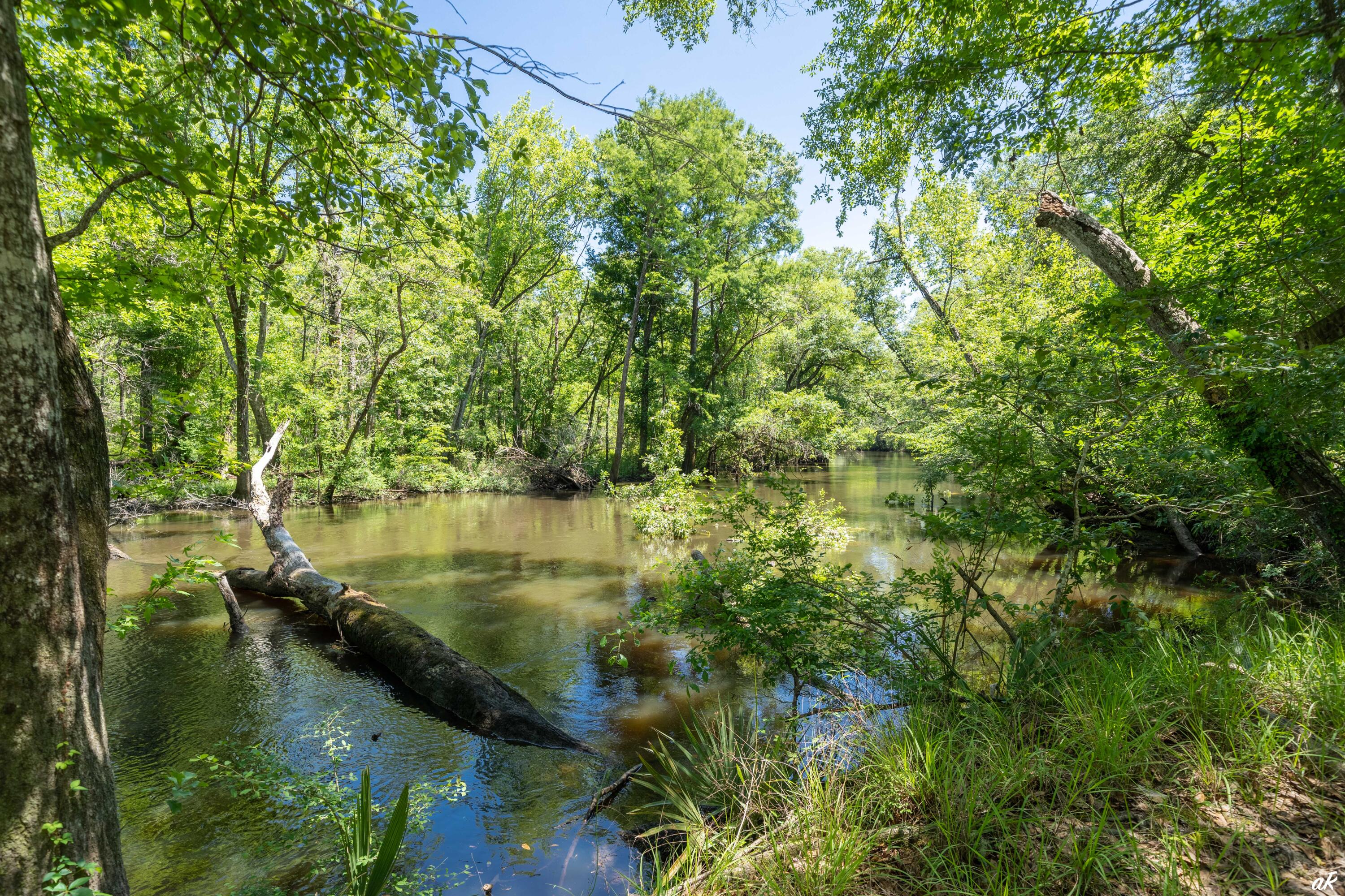 2513 Highway 79 Vernon, FL 32462 - Photo 81 of 85 77 Holmes Creek