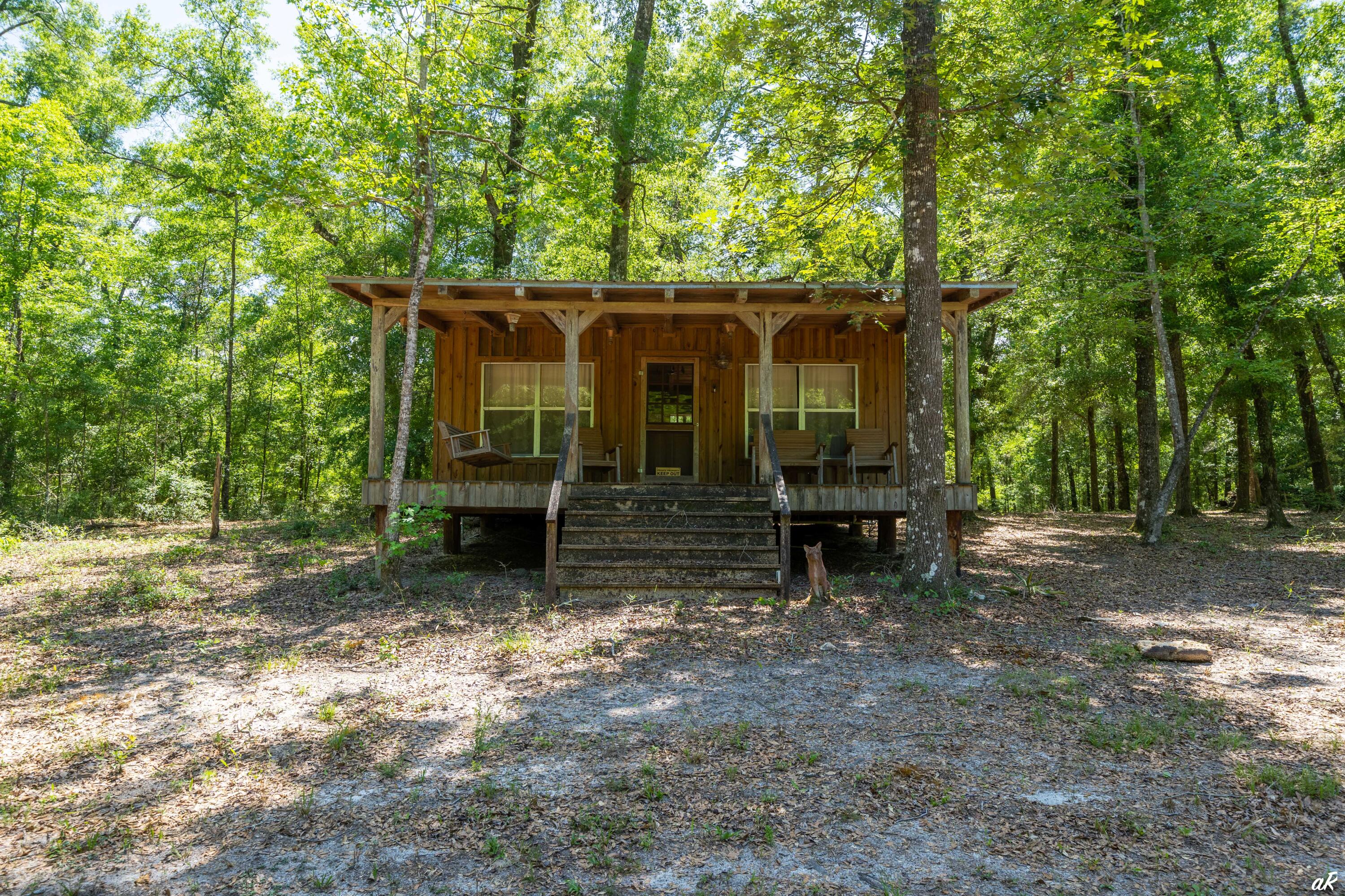 2513 Highway 79 Vernon, FL 32462 - Photo 82 of 85 a view of a wooden house with a large trees and large tree