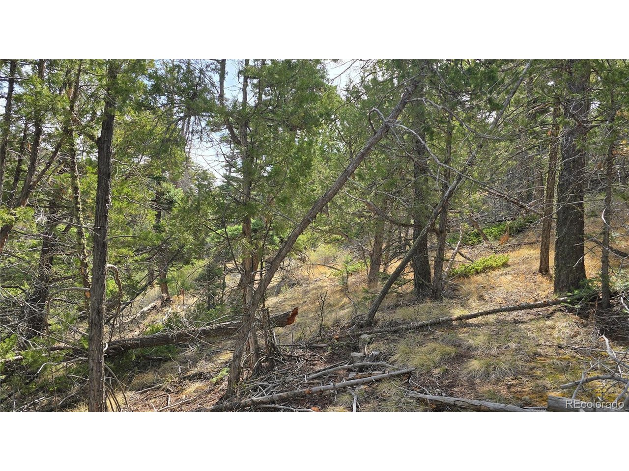 5505 Balleroy Road San Luis, CO 81152 - Photo 11 of 32