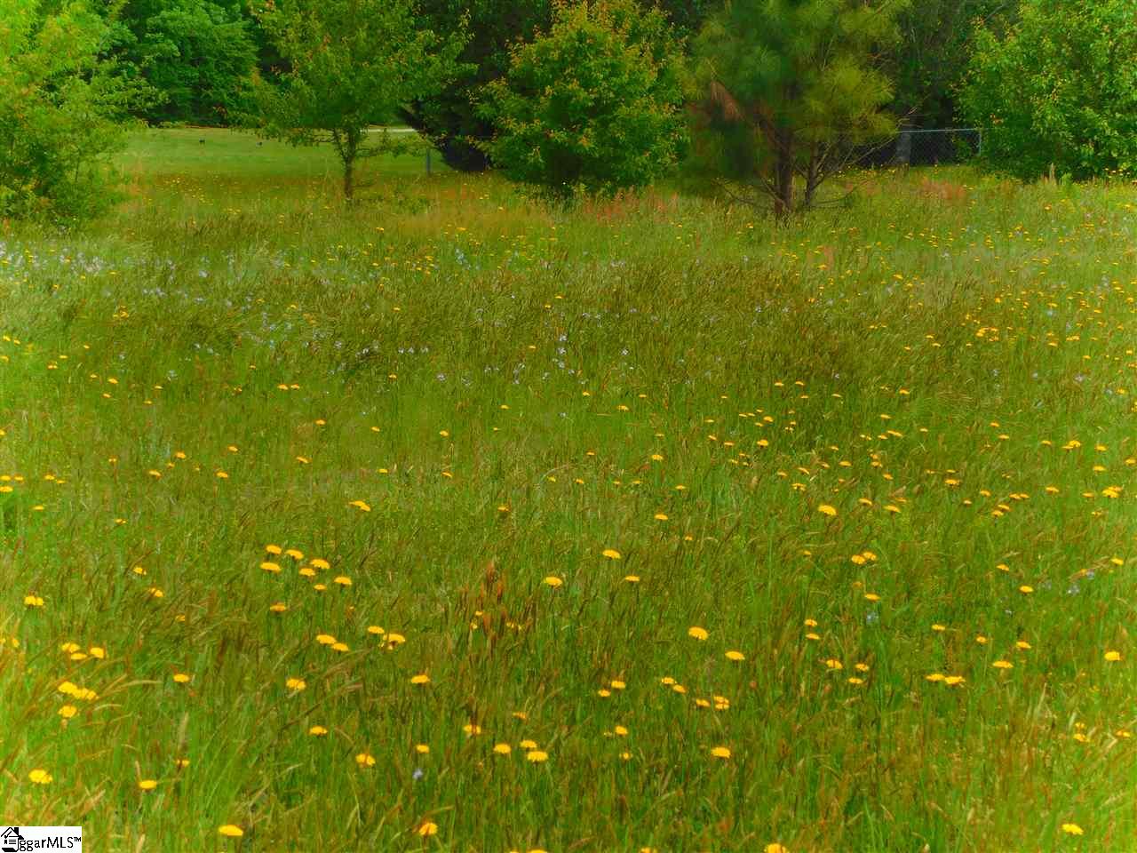 421 Happy Valley Road Fountain Inn, SC 29644 - Photo 7 of 15 Gallery Image 7