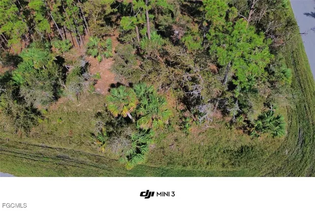 a open area with trees in the background