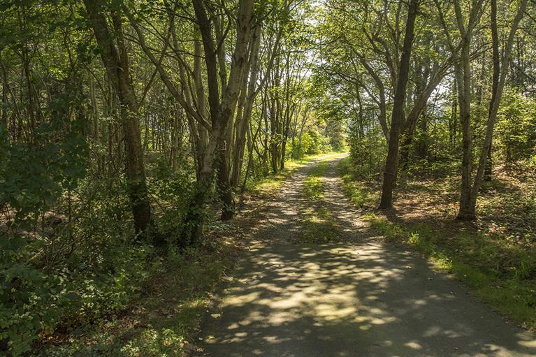 93 Meadowview Road South Chatham, MA 02633 - Photo 23 of 26 Additional Photo