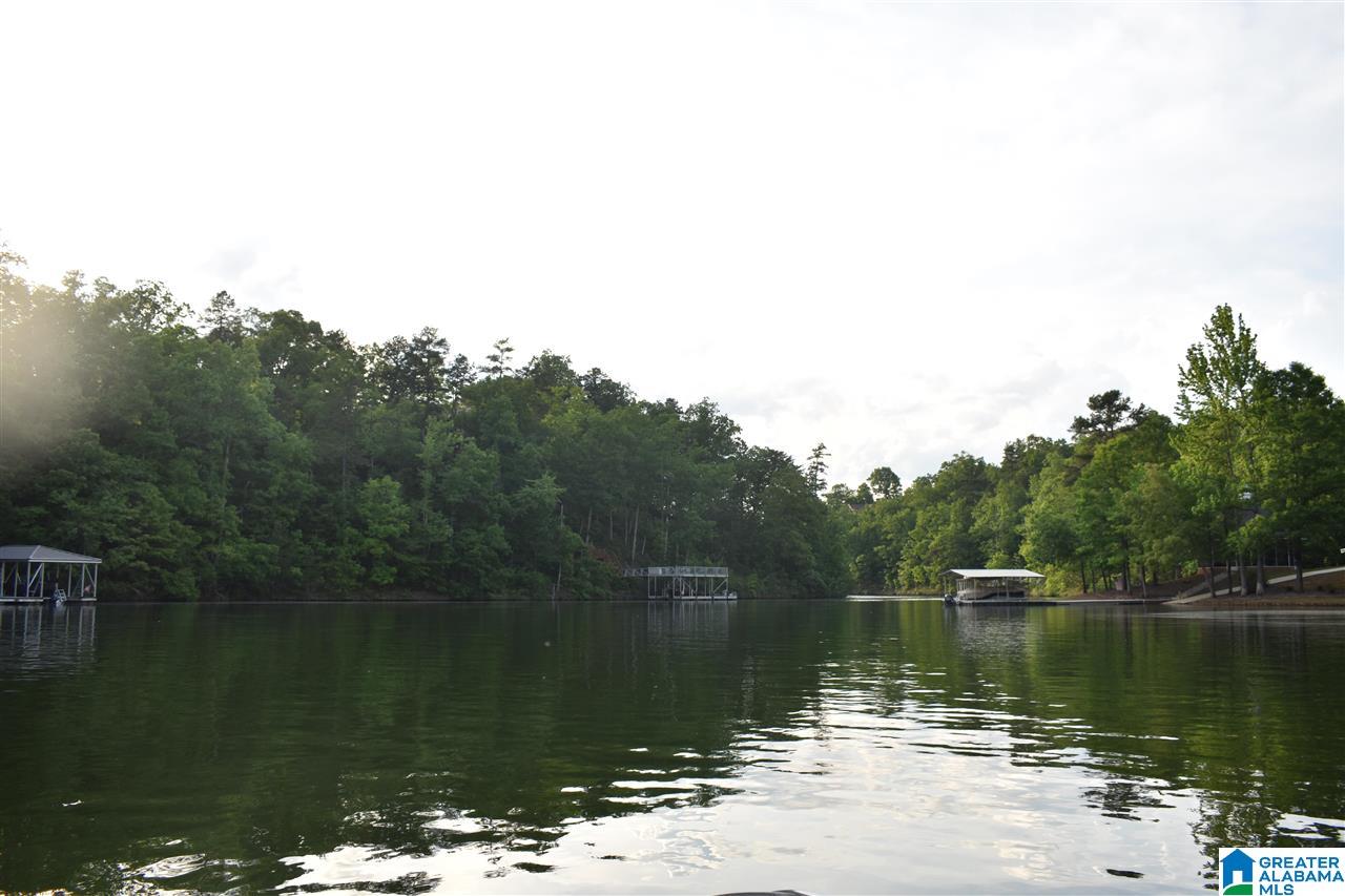 Wild Turkey Lane, Unit 23 Wedowee, AL 36278 - Photo 3 of 4