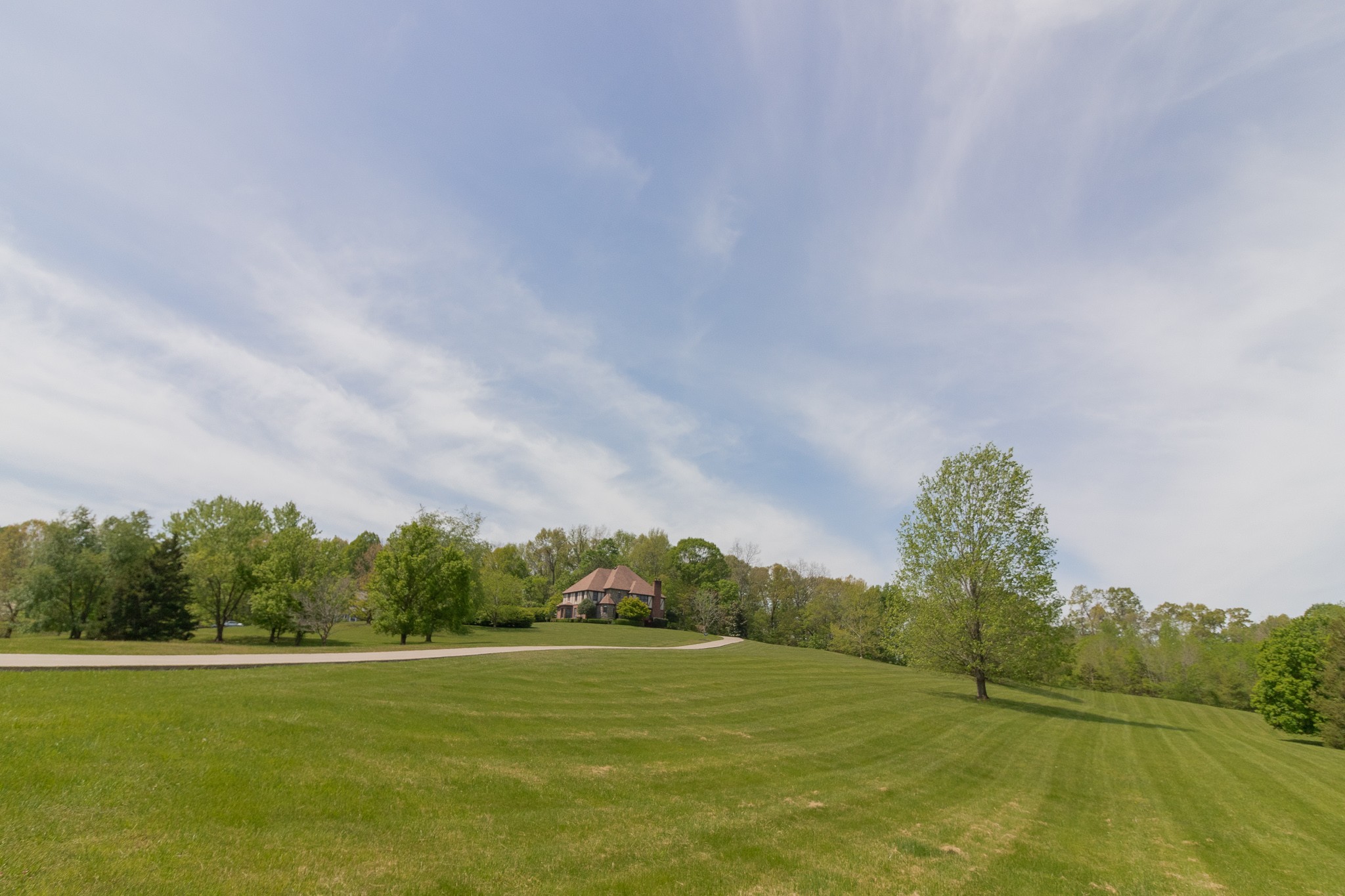 a view of a field with an trees in the background