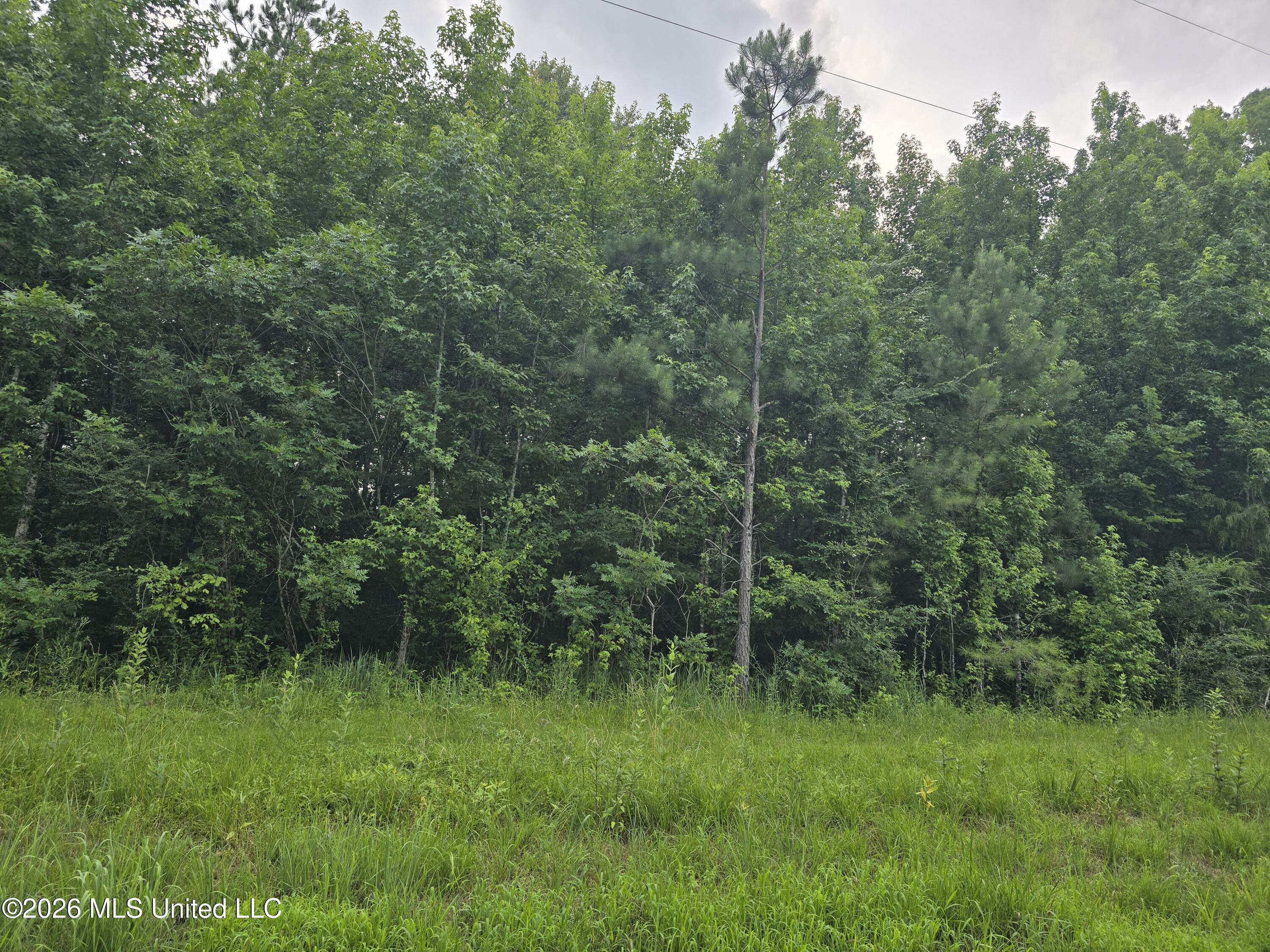 4 Gravel Springs Road Senatobia, MS 38668 - Photo 3 of 4 Gravel Spring Rd 2